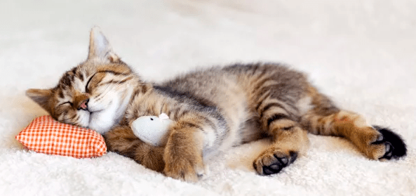 Are Your Relationships Improving Your&nbsp;Well-Being?